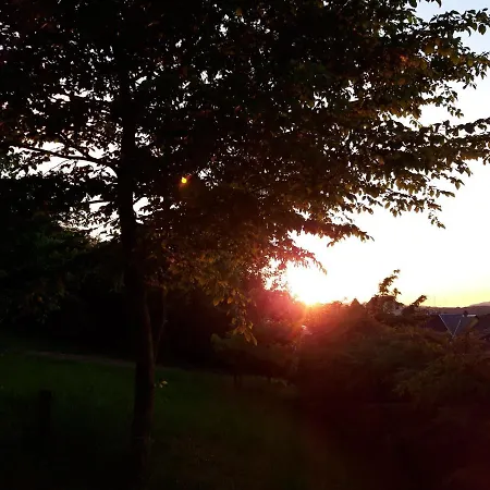 Bengel's Zur Krone 3* Mülheim-Kärlich