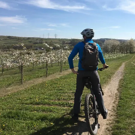 Bengel's Zur Krone Hotel 3*