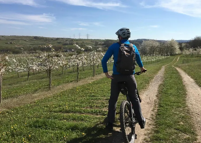 Bengel's Zur Krone Hotel 3*